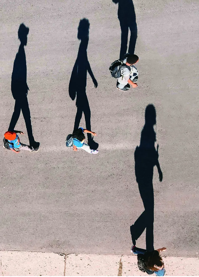 三年级上册科学青岛版五四制电子课本_全部版本&bull;小学科学电子课本_青岛版54制小学科学课本