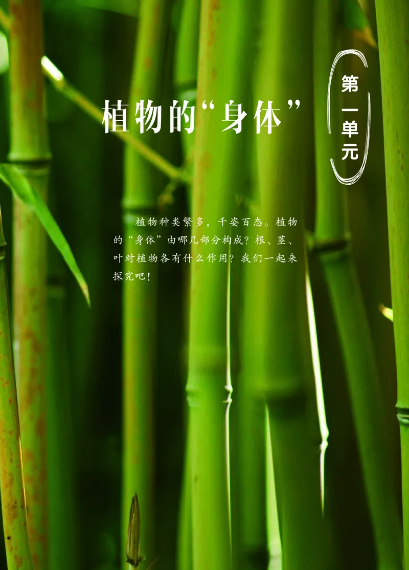 三年级上册科学青岛版五四制电子课本_全部版本&bull;小学科学电子课本_青岛版54制小学科学课本