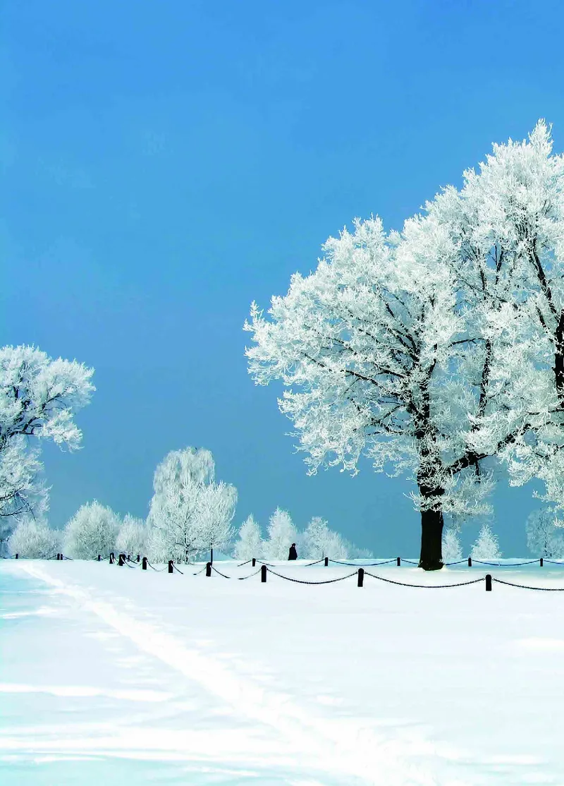 三年级上册科学青岛版五四制电子课本_全部版本&bull;小学科学电子课本_青岛版54制小学科学课本
