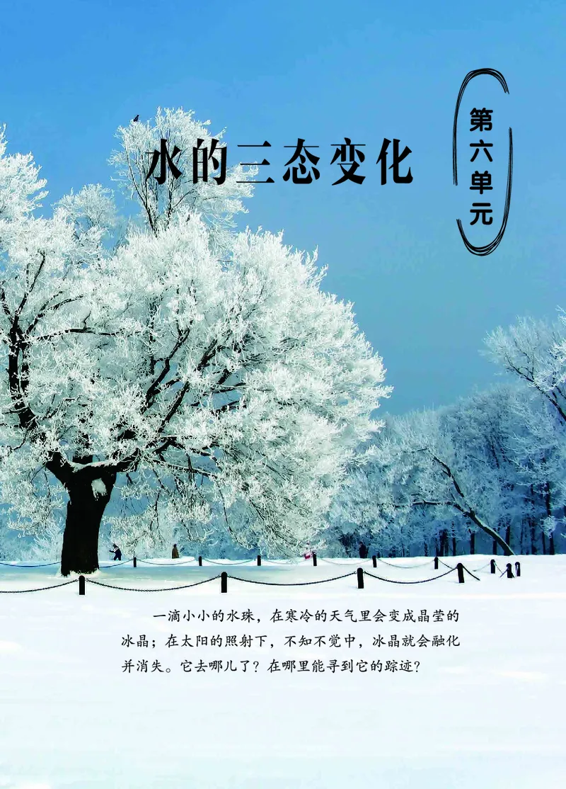 三年级上册科学青岛版五四制电子课本_全部版本&bull;小学科学电子课本_青岛版54制小学科学课本