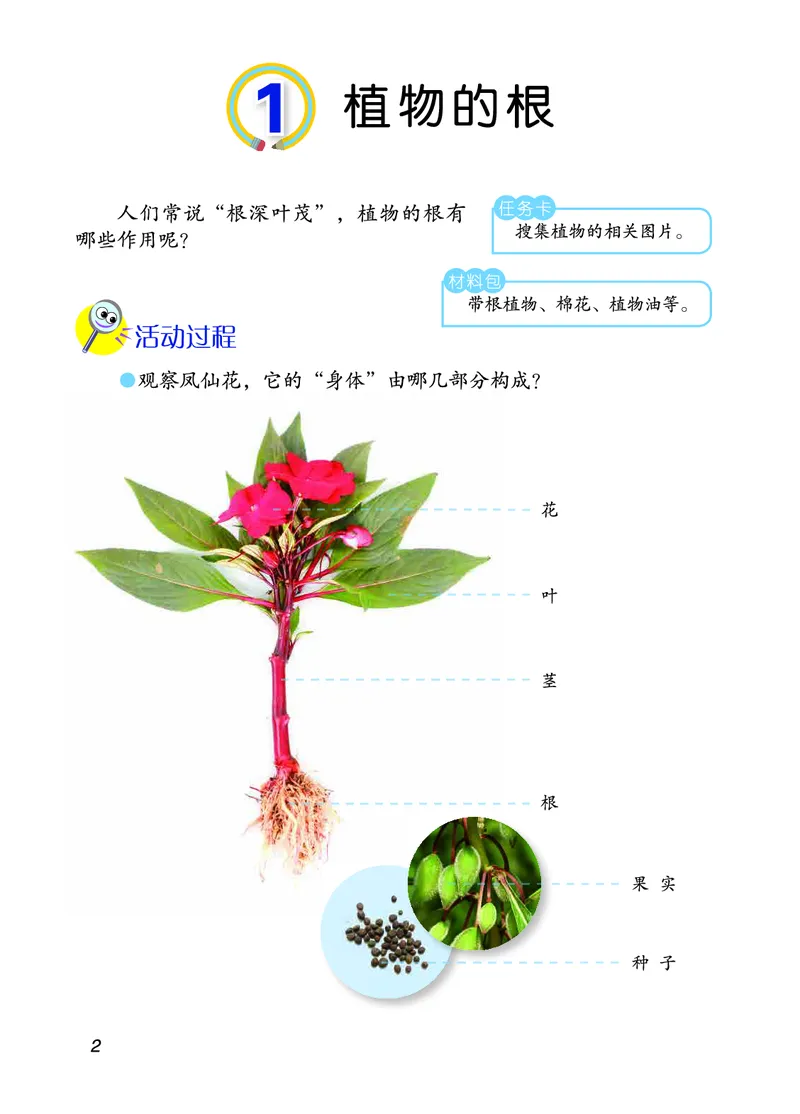 三年级上册科学青岛版五四制电子课本_全部版本&bull;小学科学电子课本_青岛版54制小学科学课本