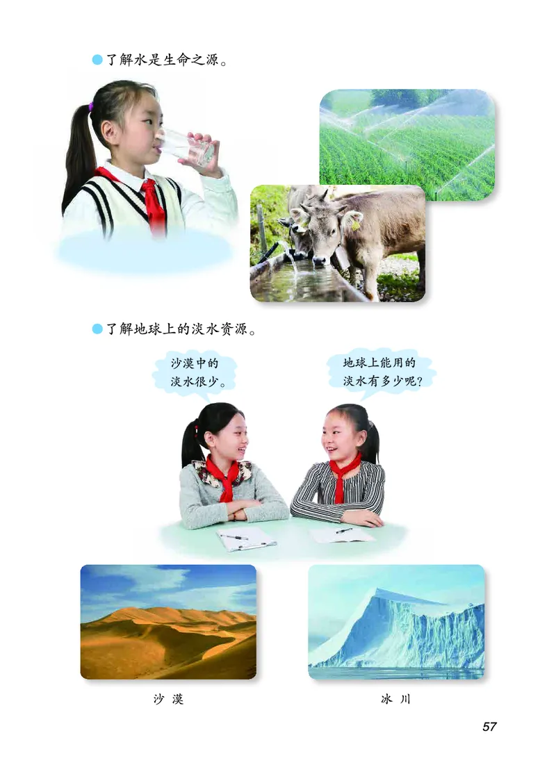 三年级上册科学青岛版五四制电子课本_全部版本&bull;小学科学电子课本_青岛版54制小学科学课本