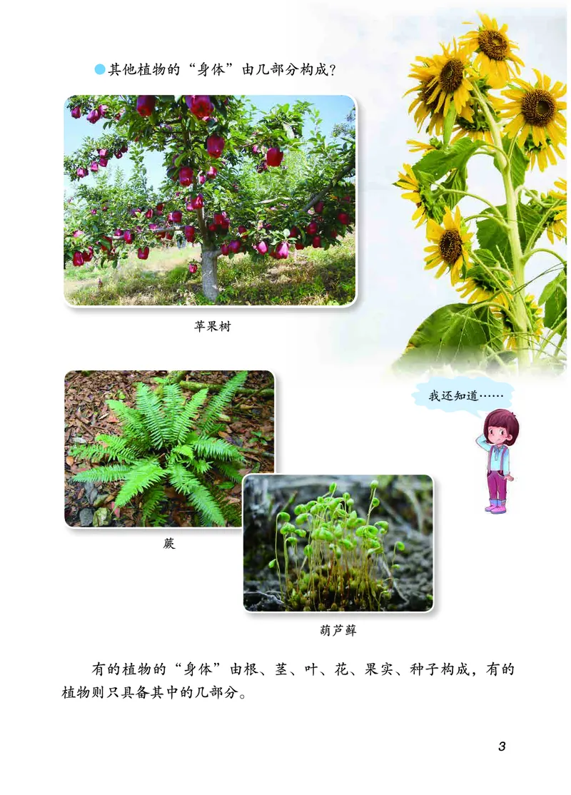 三年级上册科学青岛版五四制电子课本_全部版本&bull;小学科学电子课本_青岛版54制小学科学课本