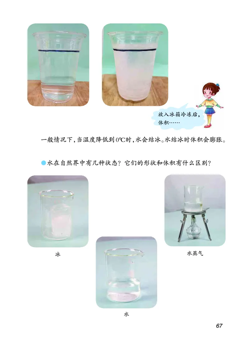 三年级上册科学青岛版五四制电子课本_全部版本&bull;小学科学电子课本_青岛版54制小学科学课本