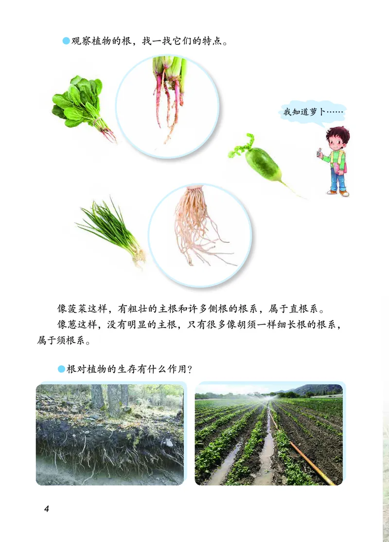 三年级上册科学青岛版五四制电子课本_全部版本&bull;小学科学电子课本_青岛版54制小学科学课本