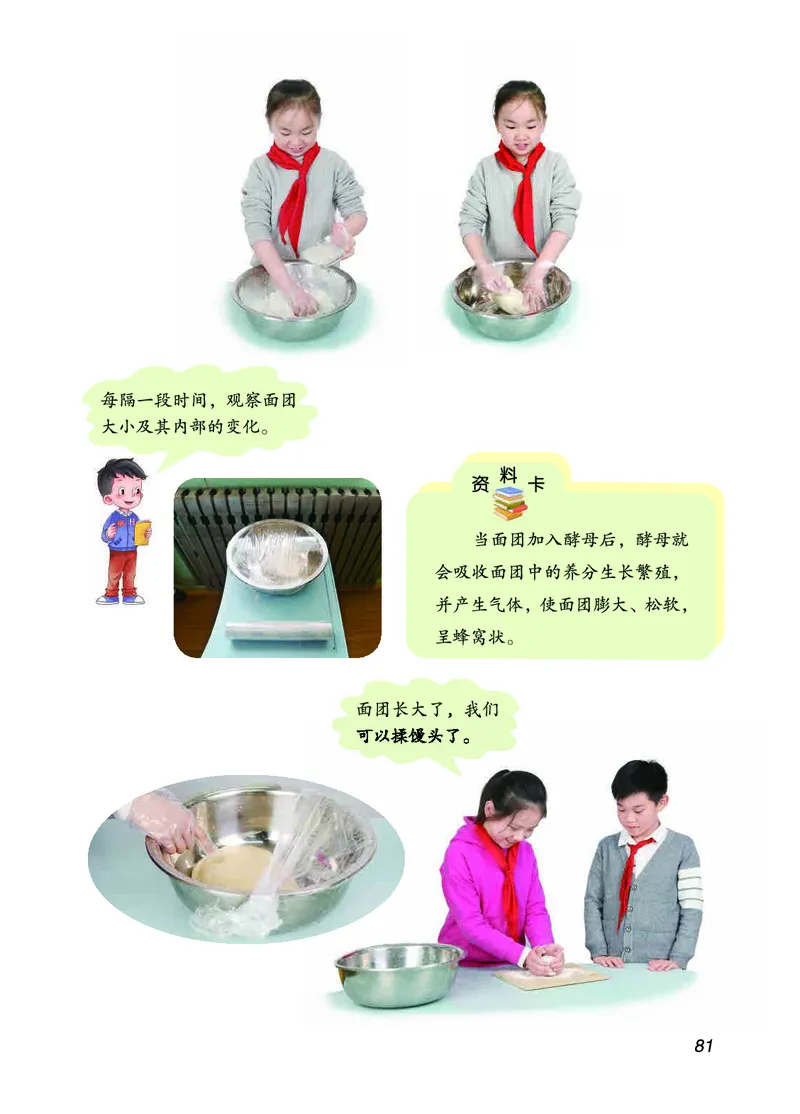 三年级上册科学青岛版五四制电子课本_全部版本&bull;小学科学电子课本_青岛版54制小学科学课本