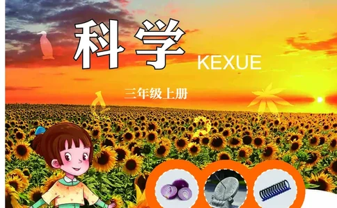 三年级上册科学青岛版五四制电子课本_全部版本&bull;小学科学电子课本_青岛版54制小学科学课本