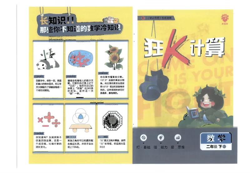 25小学必刷题数学二年级下RJ计算_二年级上下册资料_53黄冈多个品牌系列资料_数学