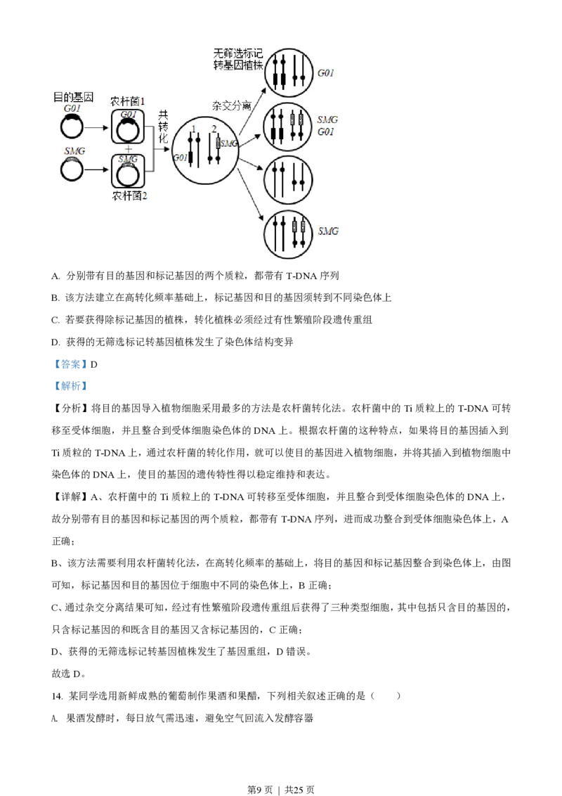 2021年高考生物试卷（江苏）（解析卷）_生物历年高考真题_新&middot;PDF版2008-2025&middot;高考生物真题_生物（按试卷类型分类）2008-2025_自主命题卷&middot;生物（2008-2025）_江苏自主命题&middot;生物（2008-2025）