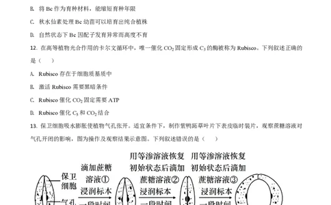 2021年高考生物试卷（广东）（空白卷）_生物历年高考真题_新&middot;PDF版2008-2025&middot;高考生物真题_生物（按年份分类）2008-2025_2021&middot;高考生物真题