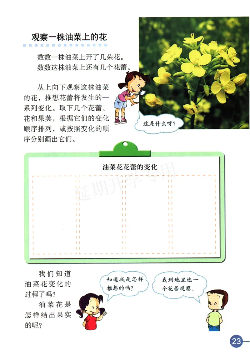 四年级下册科学教科版电子课本_全部版本&bull;小学科学电子课本_教科版小学科学电子课本_旧版