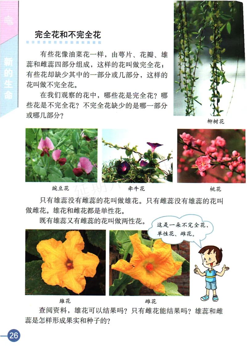 四年级下册科学教科版电子课本_全部版本&bull;小学科学电子课本_教科版小学科学电子课本_旧版