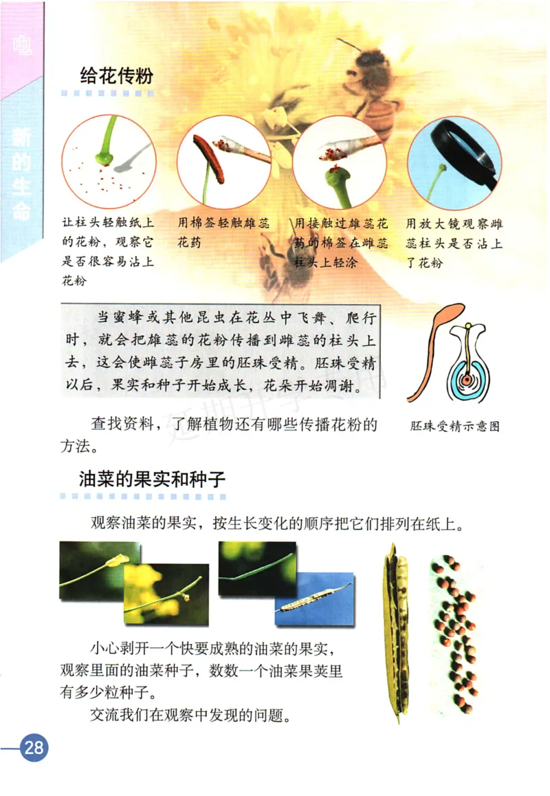 四年级下册科学教科版电子课本_全部版本&bull;小学科学电子课本_教科版小学科学电子课本_旧版