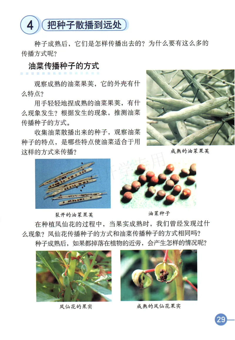 四年级下册科学教科版电子课本_全部版本&bull;小学科学电子课本_教科版小学科学电子课本_旧版