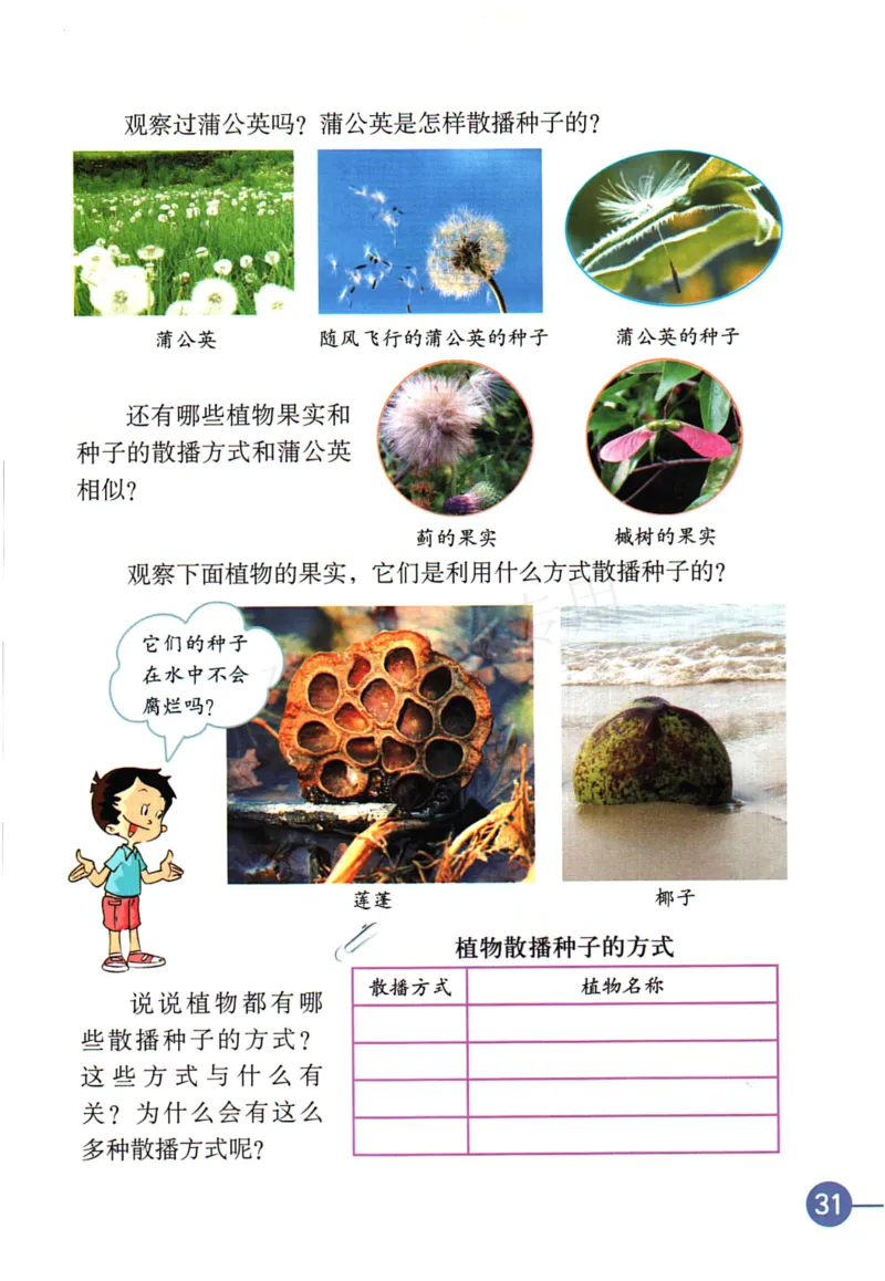 四年级下册科学教科版电子课本_全部版本&bull;小学科学电子课本_教科版小学科学电子课本_旧版