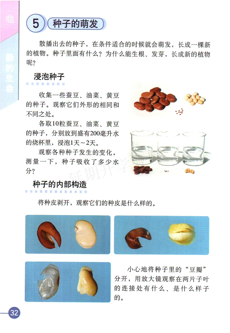 四年级下册科学教科版电子课本_全部版本&bull;小学科学电子课本_教科版小学科学电子课本_旧版