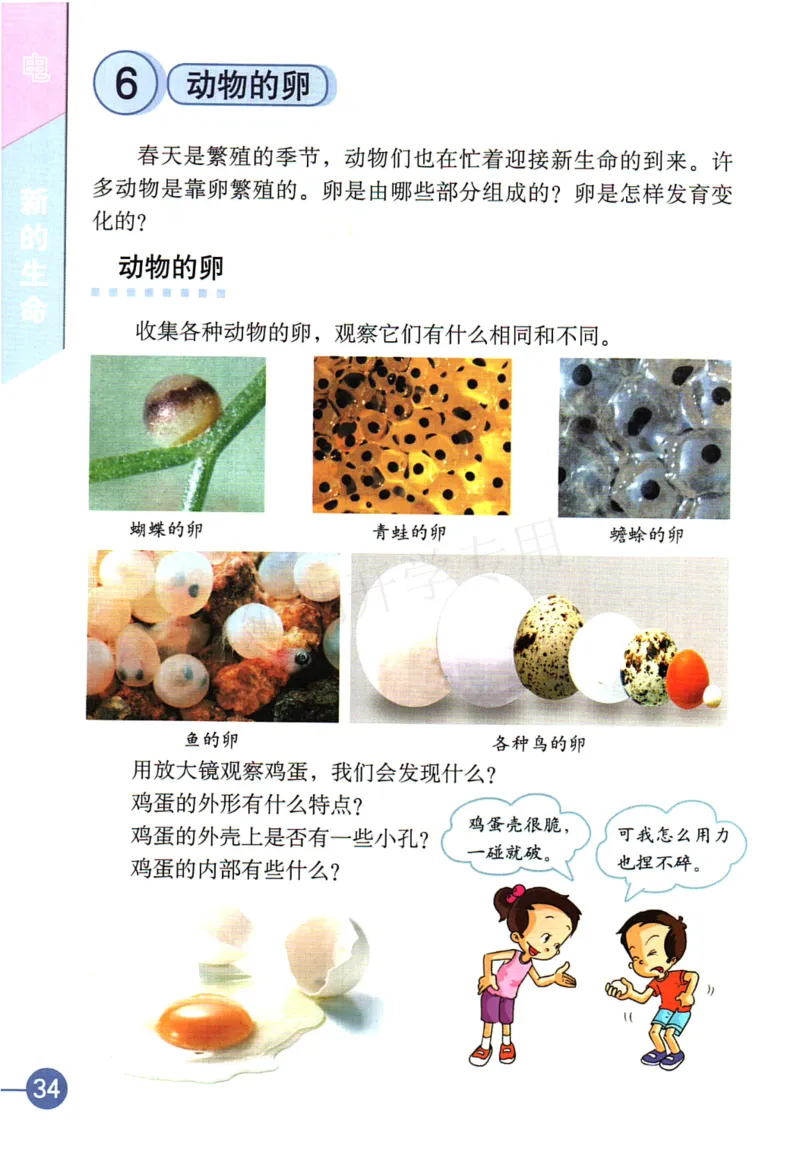 四年级下册科学教科版电子课本_全部版本&bull;小学科学电子课本_教科版小学科学电子课本_旧版