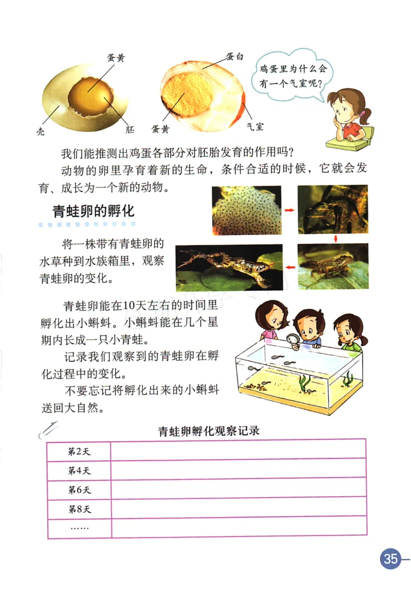四年级下册科学教科版电子课本_全部版本&bull;小学科学电子课本_教科版小学科学电子课本_旧版