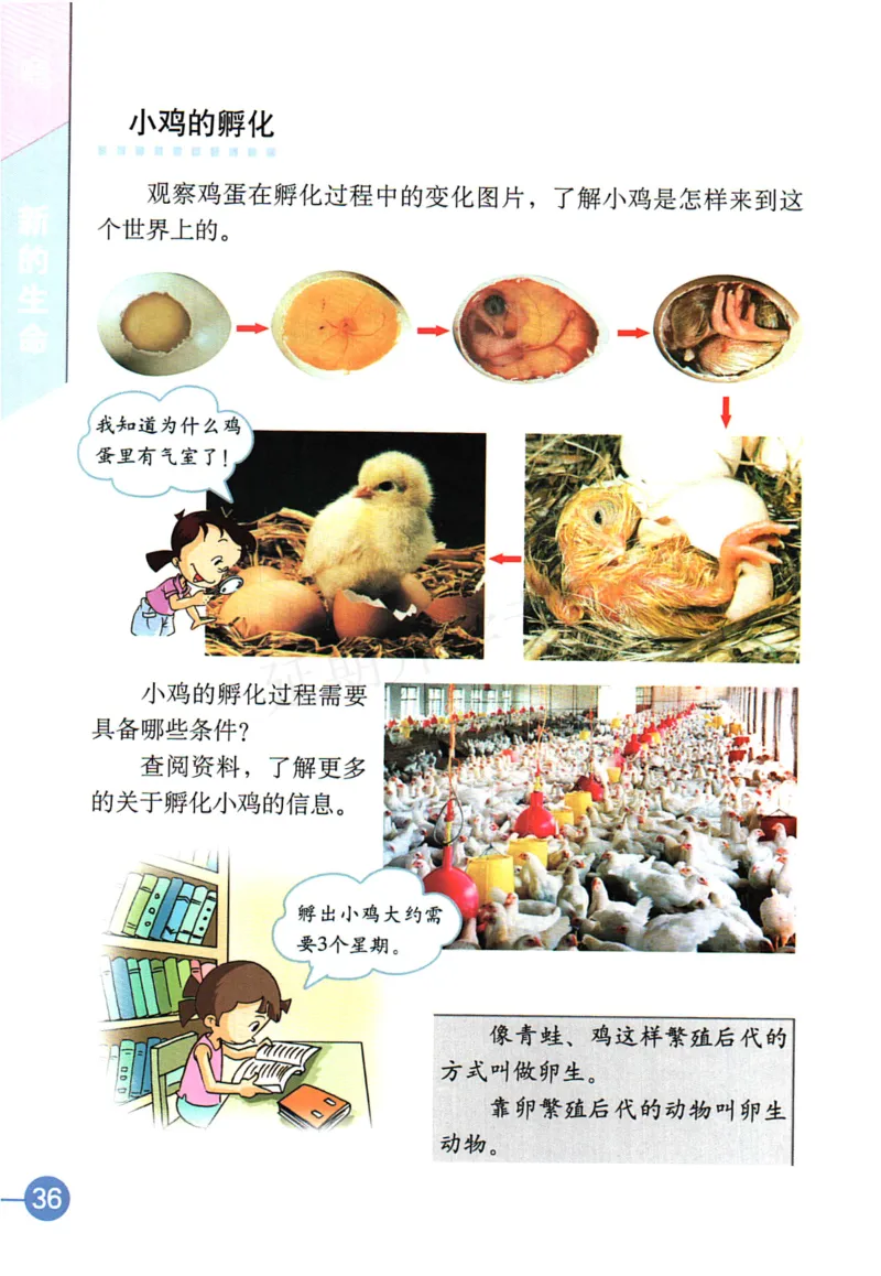 四年级下册科学教科版电子课本_全部版本&bull;小学科学电子课本_教科版小学科学电子课本_旧版