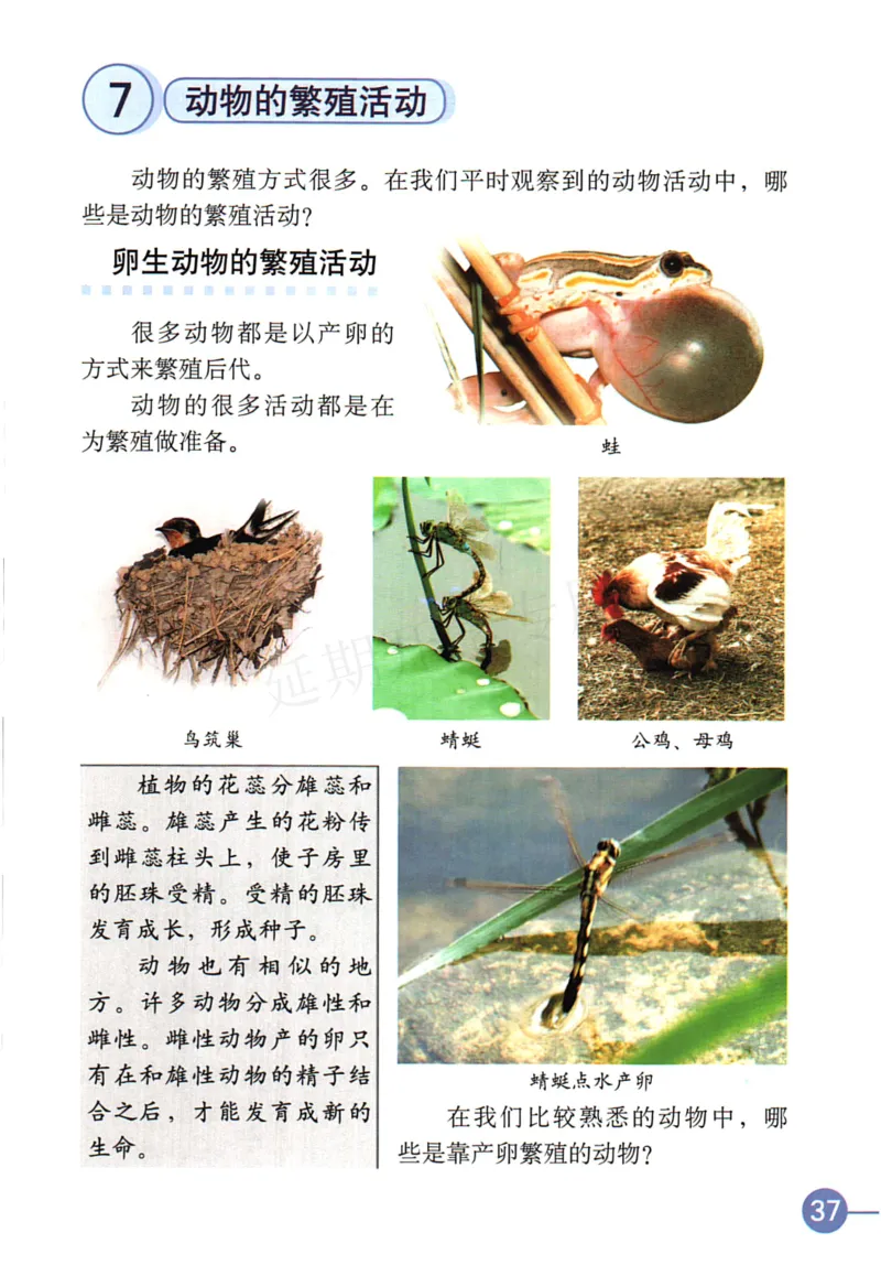 四年级下册科学教科版电子课本_全部版本&bull;小学科学电子课本_教科版小学科学电子课本_旧版