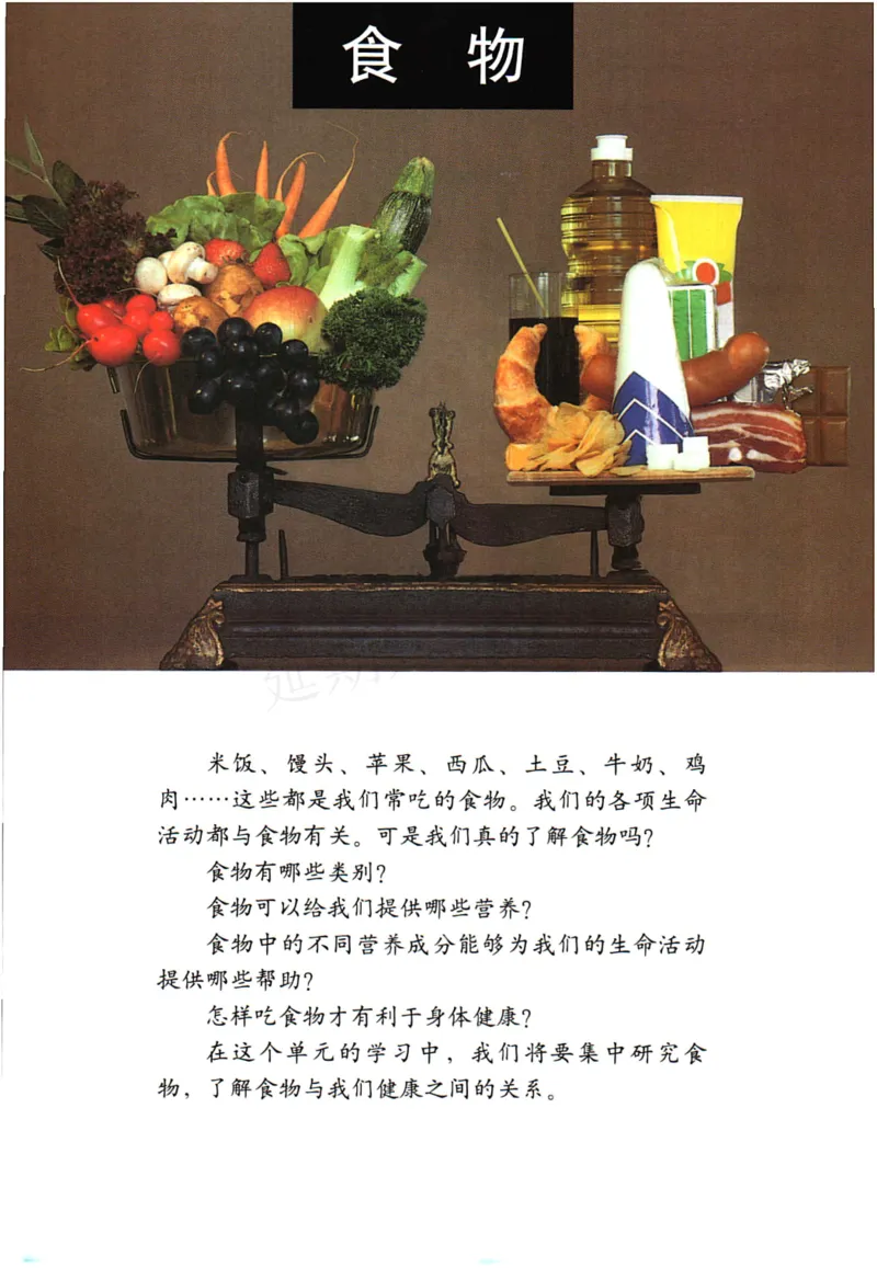 四年级下册科学教科版电子课本_全部版本&bull;小学科学电子课本_教科版小学科学电子课本_旧版