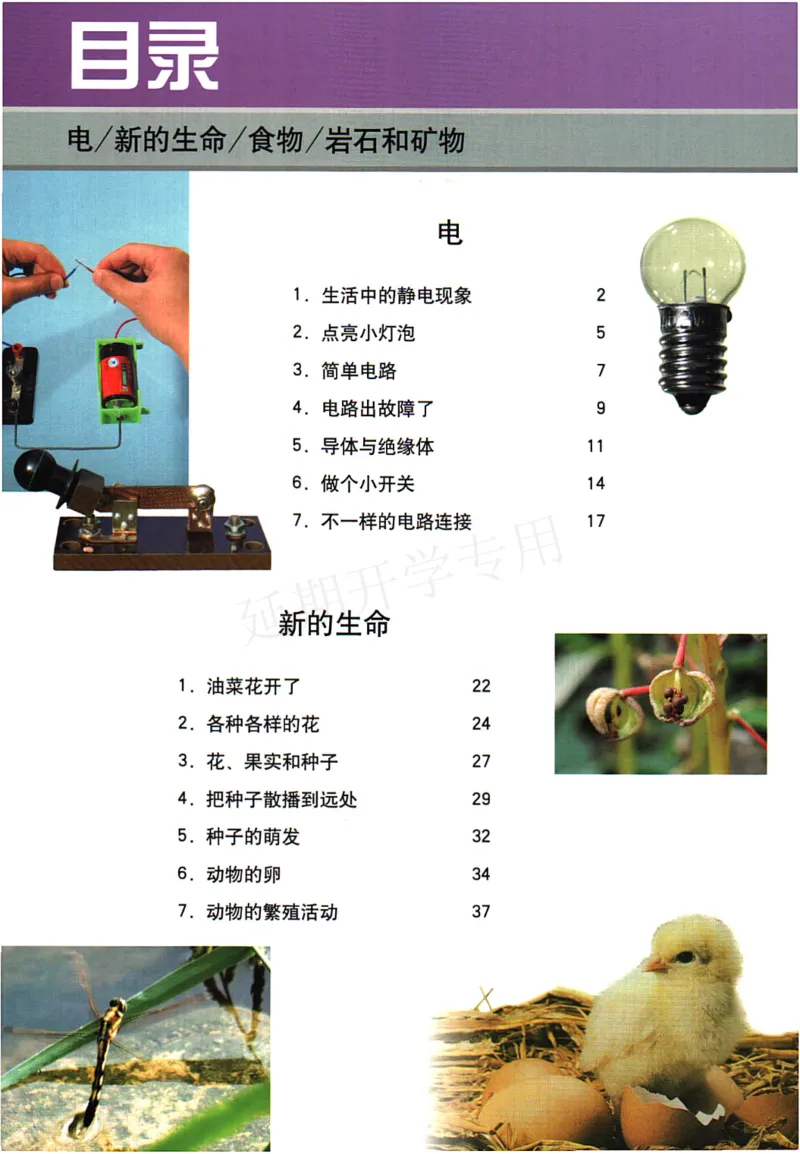 四年级下册科学教科版电子课本_全部版本&bull;小学科学电子课本_教科版小学科学电子课本_旧版
