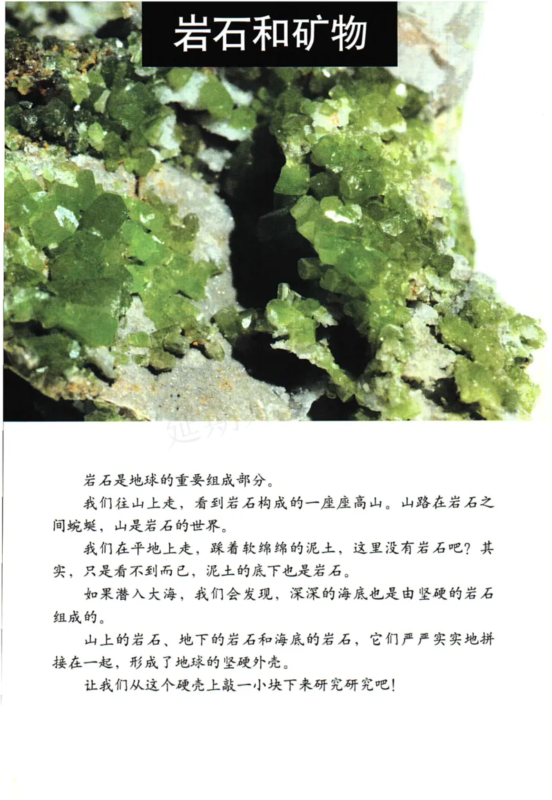 四年级下册科学教科版电子课本_全部版本&bull;小学科学电子课本_教科版小学科学电子课本_旧版