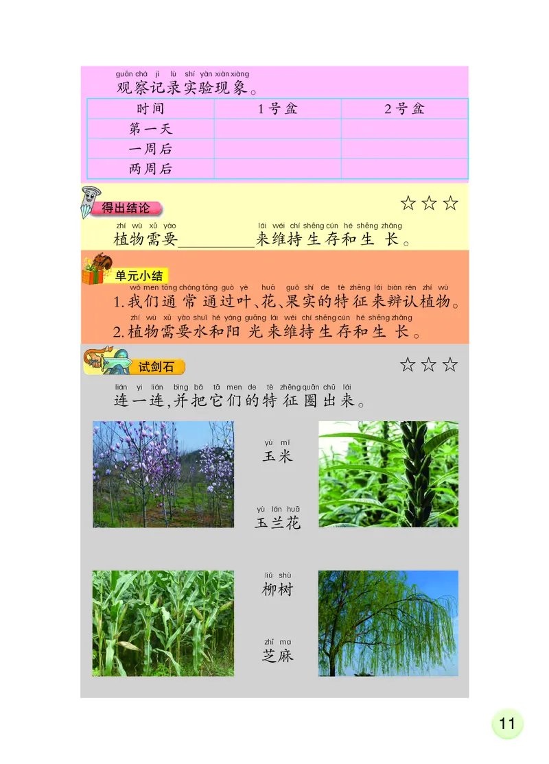 大象版1年级科学下册活动手册_全部版本&bull;小学科学电子课本_大象版小学科学电子课本
