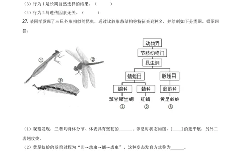 2020年福建省中考生物真题（空白卷）_福建中考1_6.福建中考生物（2017-2025）