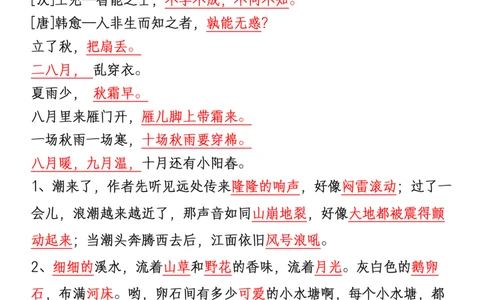 四上期中高频考点训练_🍎⭐️期中知识汇总语文25年上册_四上