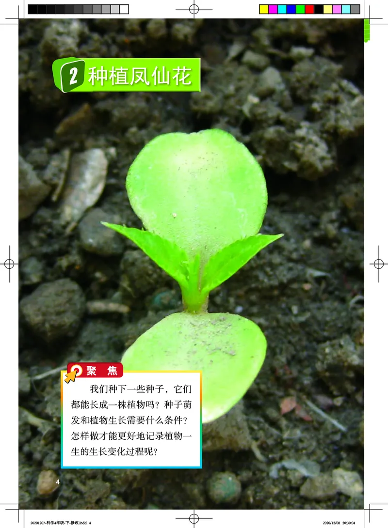 教科版4年级科学下册高清教材_全部版本&bull;小学科学电子课本_教科版小学科学电子课本