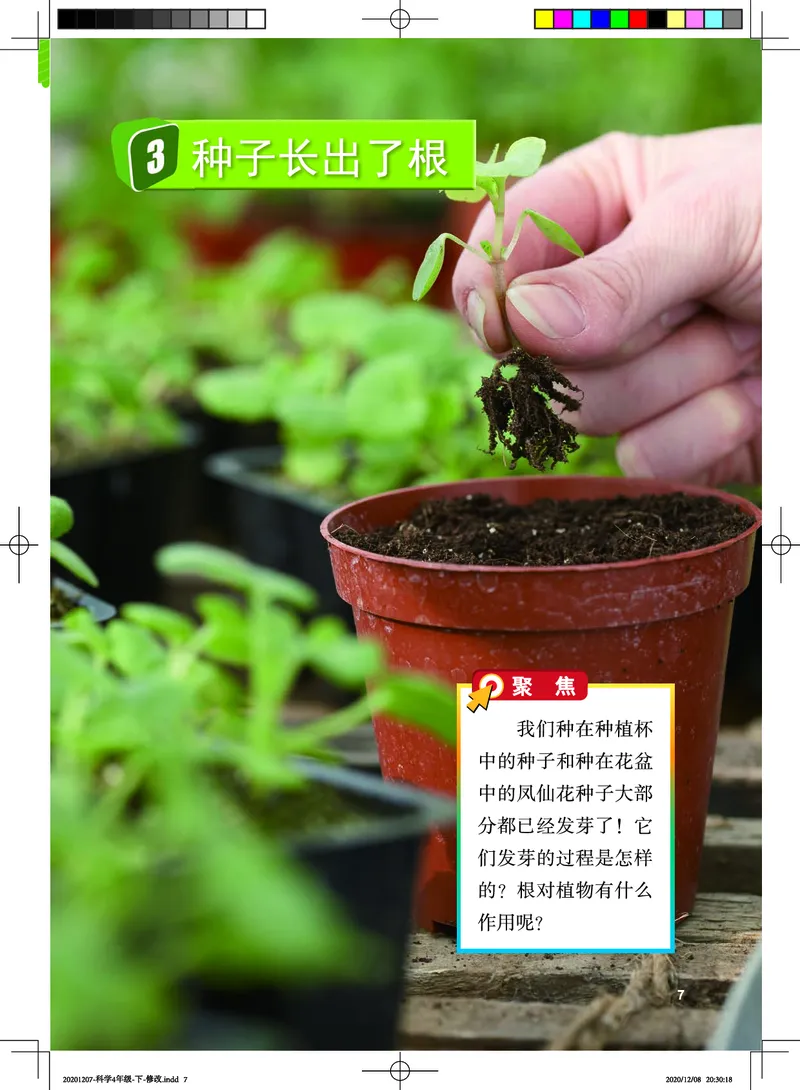 教科版4年级科学下册高清教材_全部版本&bull;小学科学电子课本_教科版小学科学电子课本