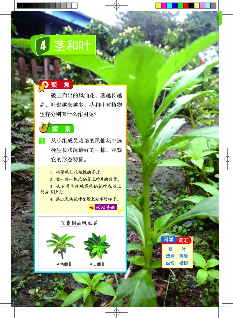 教科版4年级科学下册高清教材_全部版本&bull;小学科学电子课本_教科版小学科学电子课本