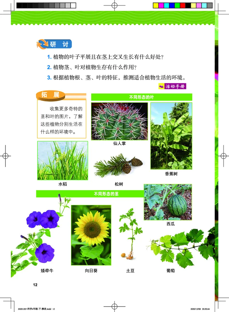教科版4年级科学下册高清教材_全部版本&bull;小学科学电子课本_教科版小学科学电子课本