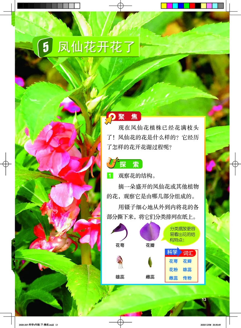 教科版4年级科学下册高清教材_全部版本&bull;小学科学电子课本_教科版小学科学电子课本