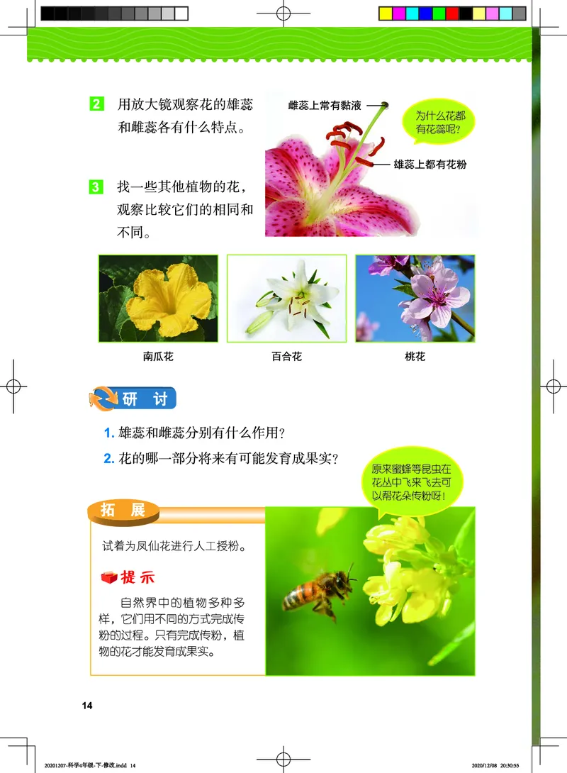 教科版4年级科学下册高清教材_全部版本&bull;小学科学电子课本_教科版小学科学电子课本