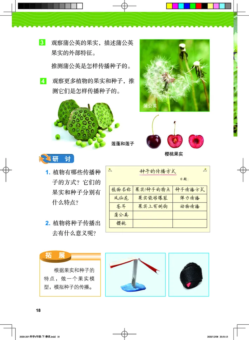 教科版4年级科学下册高清教材_全部版本&bull;小学科学电子课本_教科版小学科学电子课本