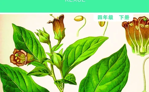 教科版4年级科学下册高清教材_全部版本&bull;小学科学电子课本_教科版小学科学电子课本