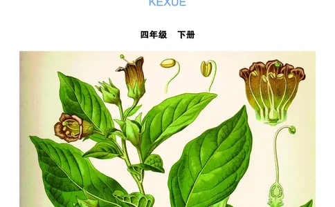 教科版4年级科学下册高清教材_全部版本&bull;小学科学电子课本_教科版小学科学电子课本