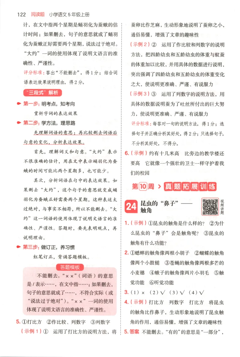 25秋《一本阅读题》5上语文_25秋《一本阅读题》语文