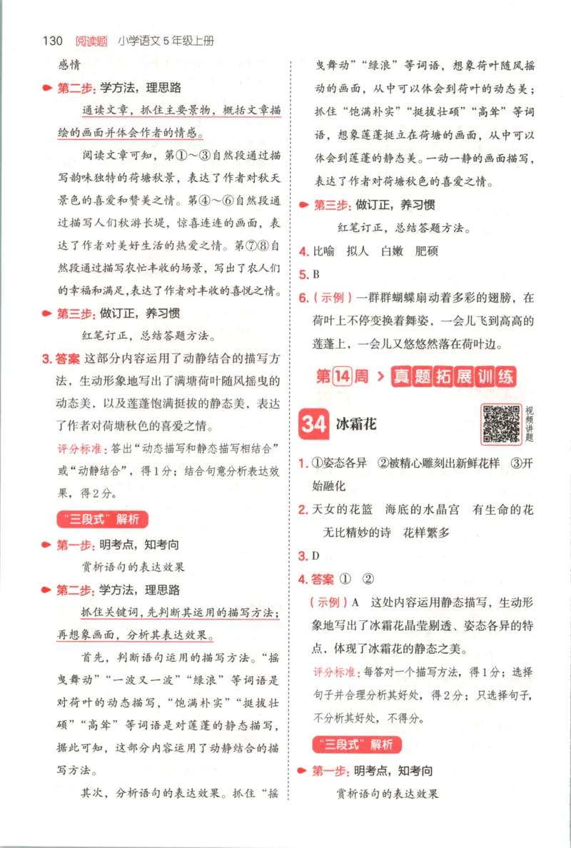 25秋《一本阅读题》5上语文_25秋《一本阅读题》语文