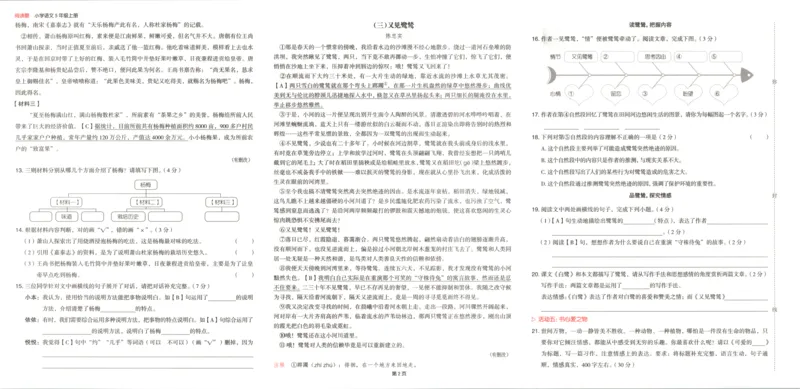 25秋《一本阅读题》5上语文_25秋《一本阅读题》语文