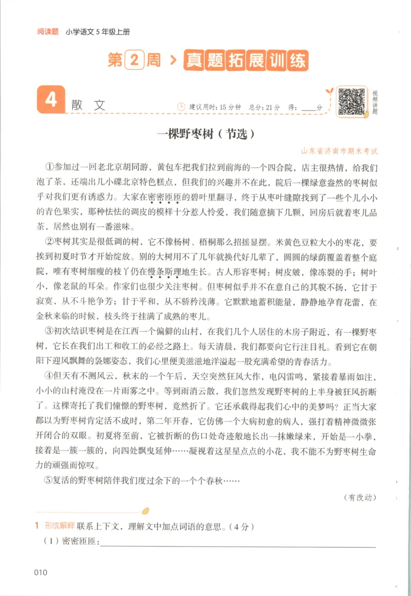 25秋《一本阅读题》5上语文_25秋《一本阅读题》语文