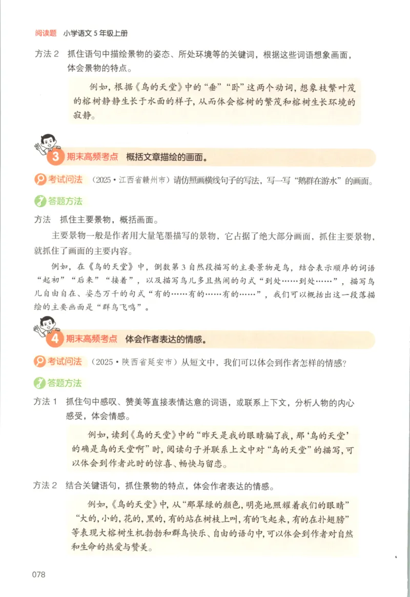 25秋《一本阅读题》5上语文_25秋《一本阅读题》语文