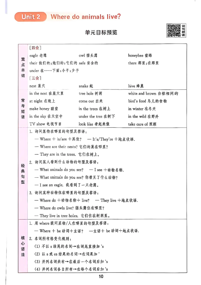 拔尖特训四（上）_25秋《拔尖特训》沪教版四上