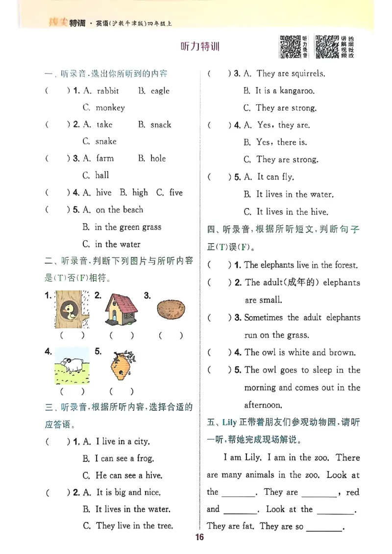 拔尖特训四（上）_25秋《拔尖特训》沪教版四上