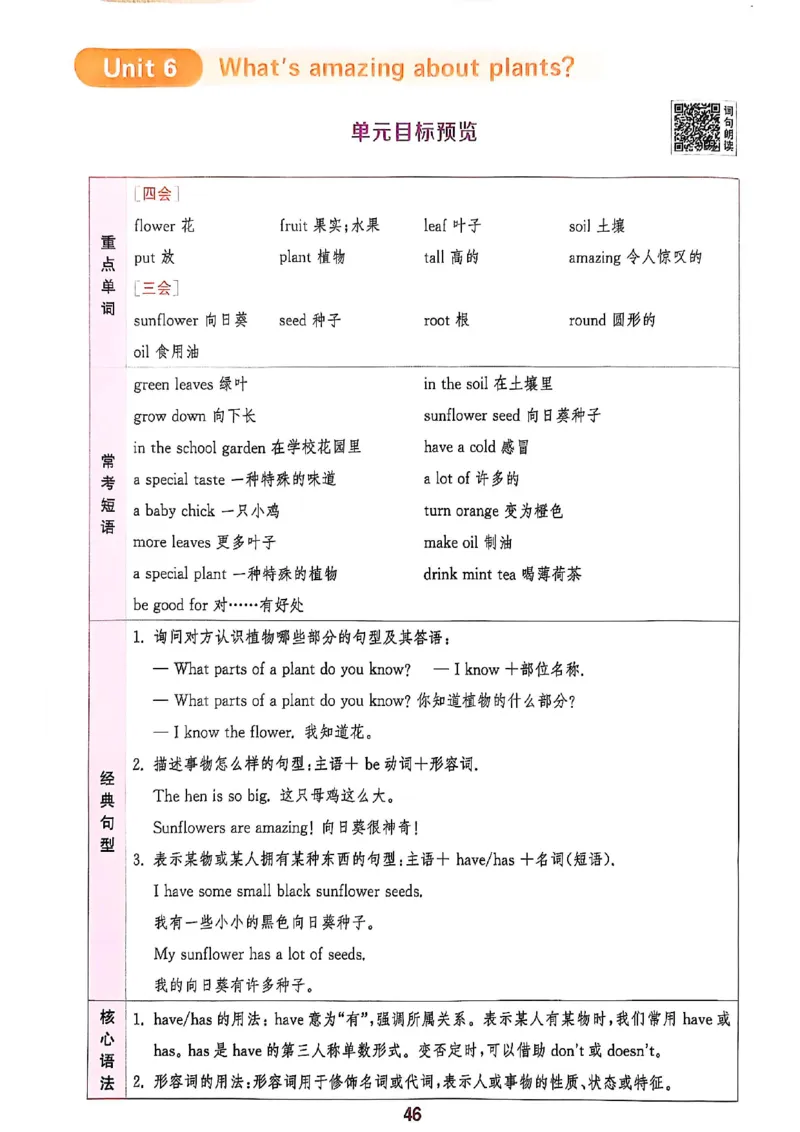 拔尖特训四（上）_25秋《拔尖特训》沪教版四上