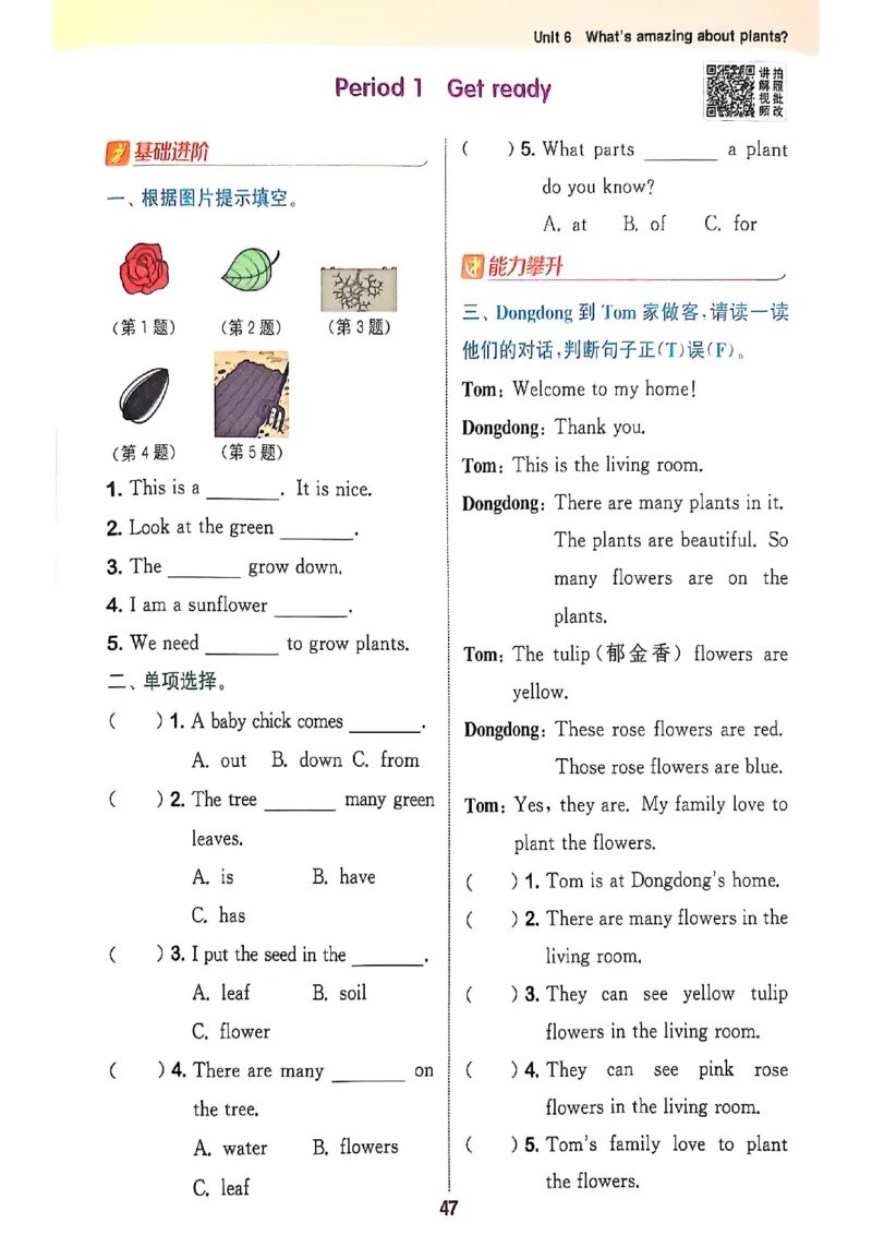 拔尖特训四（上）_25秋《拔尖特训》沪教版四上