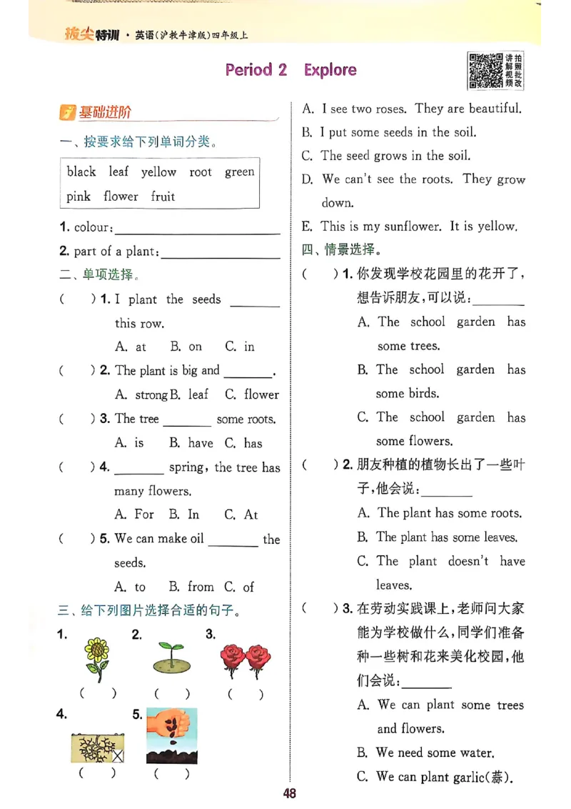 拔尖特训四（上）_25秋《拔尖特训》沪教版四上