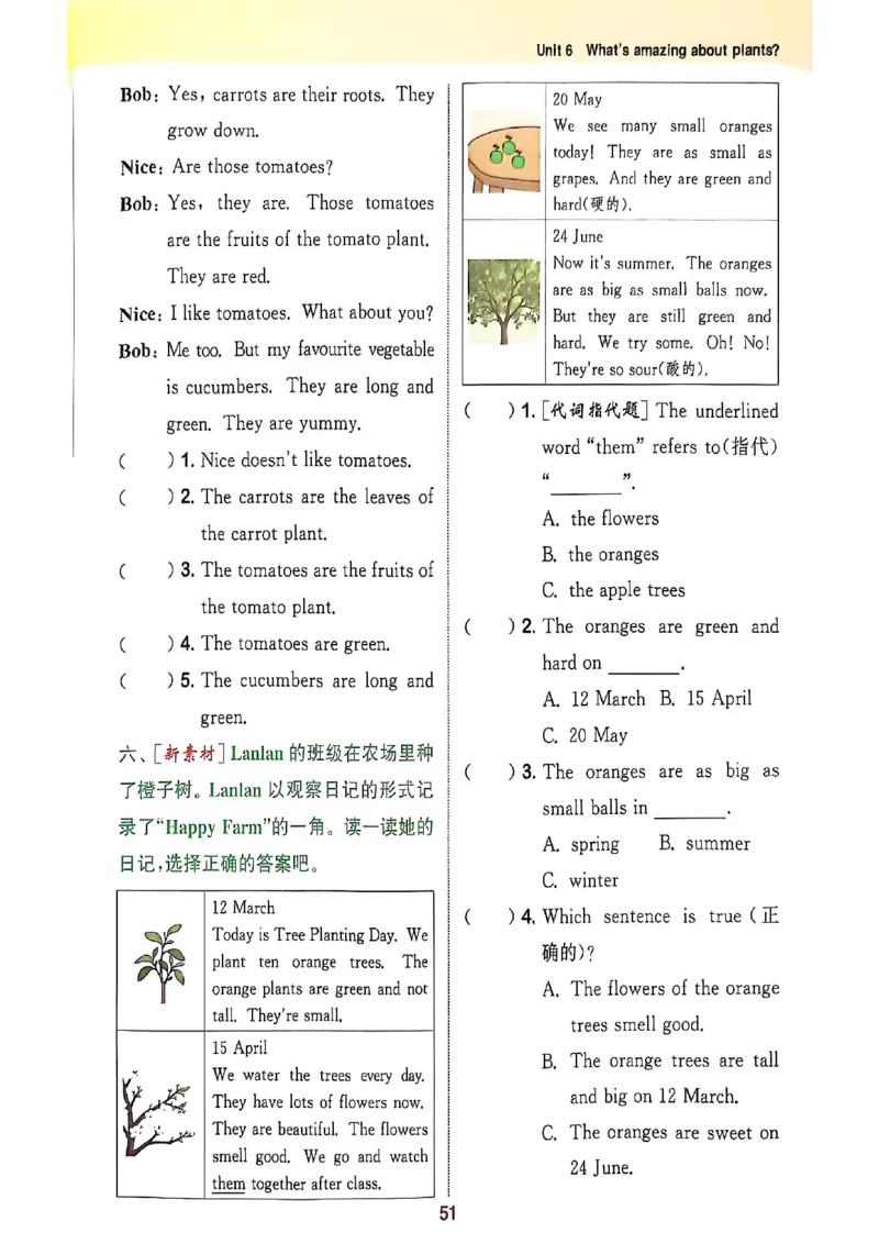 拔尖特训四（上）_25秋《拔尖特训》沪教版四上